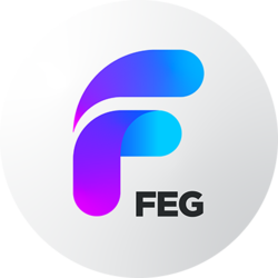 FEG BSC (OLD)